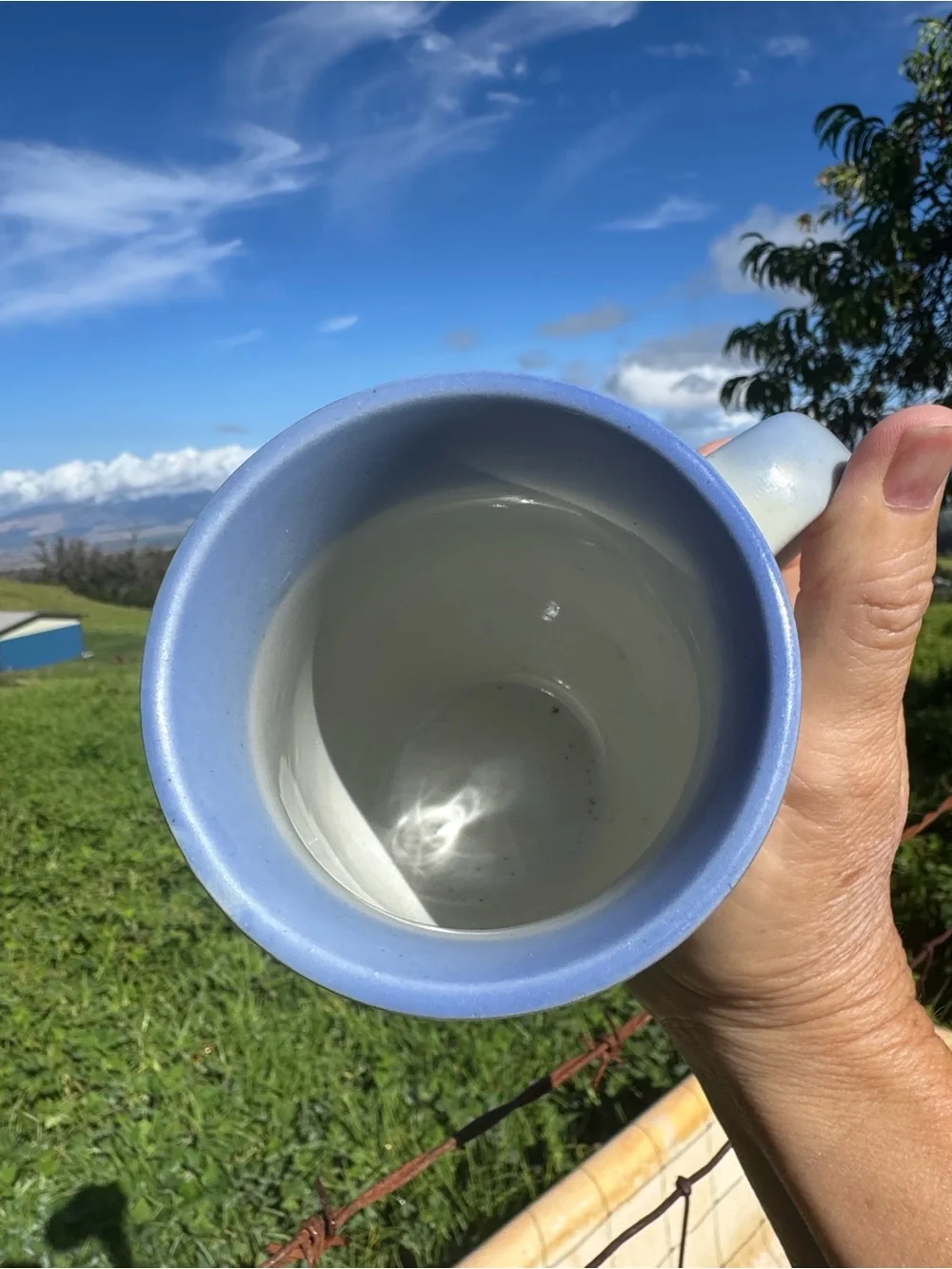 OTAGIRI JAPAN COFFEE MUg TOKI JAPAN MUG OCEAN SEA SHELLS VTG